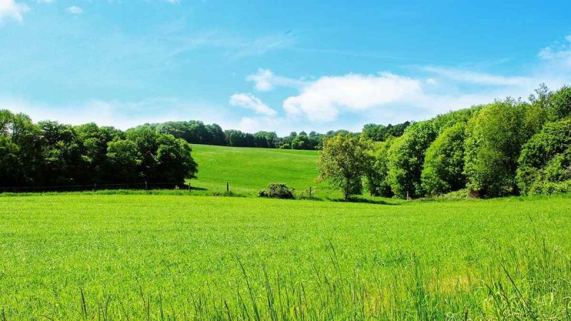 Czym się kierować wybierając działkę budowlaną?